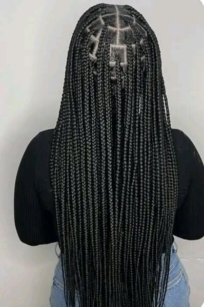 Stevinebraids2026