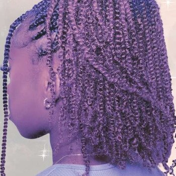 Top 10 des coiffures Twists sur cheveux afro